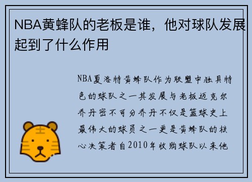 NBA黄蜂队的老板是谁，他对球队发展起到了什么作用