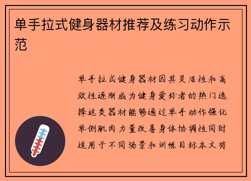 单手拉式健身器材推荐及练习动作示范